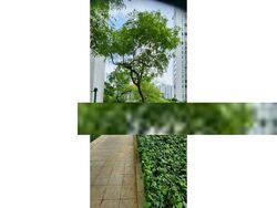 The Sea View (D15), Condominium #408539011